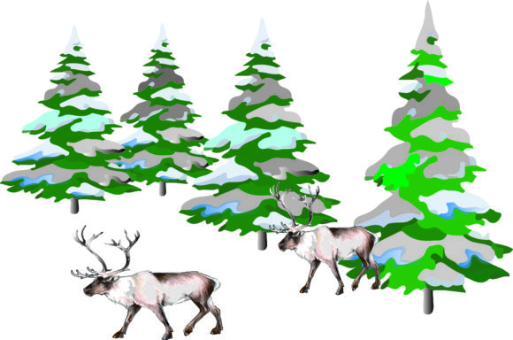 Pine Trees, Christmas Trees PNG Graphic Templates